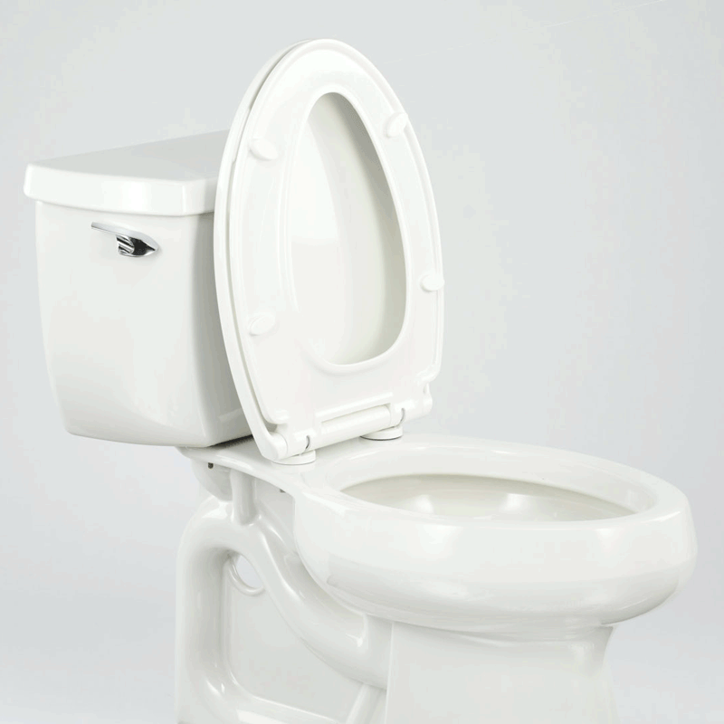 MasterSuite Toilettensitz